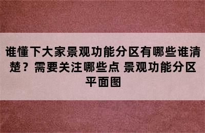 谁懂下大家景观功能分区有哪些谁清楚？需要关注哪些点 景观功能分区平面图